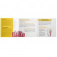 Folder Endodontia